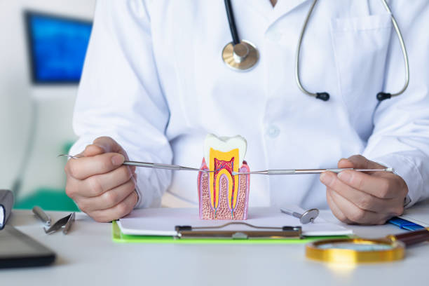 Best Emergency Broken Tooth Repair in Kings Mountain, NC